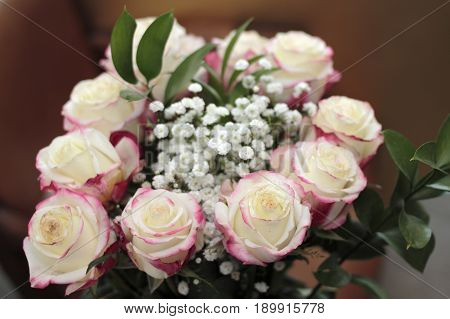 Beautiful bouquet of white roses with small amounts of red pink color the edges. Close-up floral arrangement of white pink roses babys breath and leaves
