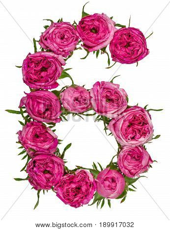 Arabic Numeral 6, Six, From Red Flowers Of Rose, Isolated On White Background