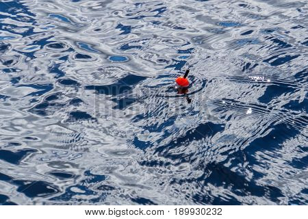 A fishing float bobber floating in the water surface while fish is taking the bait.