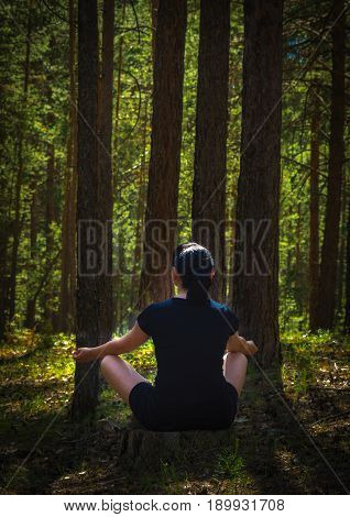 A woman meditates in the forest sitting on a tree stump on a sunny summer day