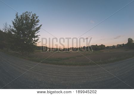 A dirt road in the forest on a summer evening