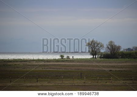 Poland, spring, may, Gulf Pucka, scenery, water, trees, meadow