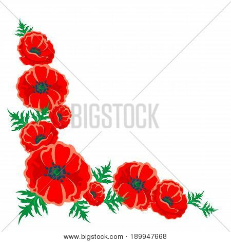 Red poppy illustration. Vector left corner flower frame on white