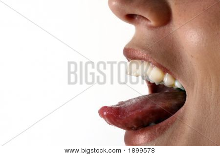 밖으로 혀
