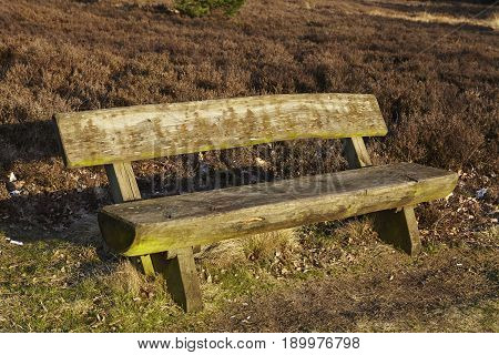 Bench Into Heathland In Spring