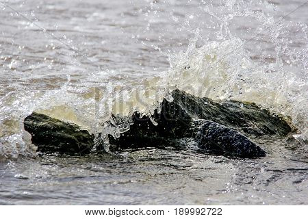 baltic sea beach with stones and waves
