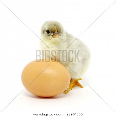 Hønen og ægget