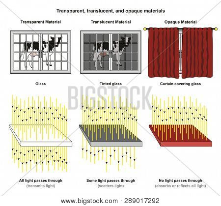 Transparent Translucent and Opaque Materials infographic diagram with examples of glass tinted glass and curtain and light transmit scatter absorb or reflect for physics science education