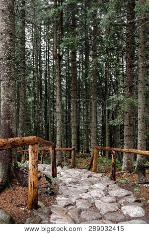 Stone Path In A Forest In The Mountains. Morske Oko, Poland, Europe