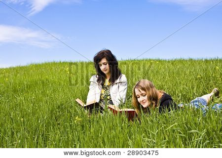 Couple d'amis bénéficiant d'un livre dans une prairie