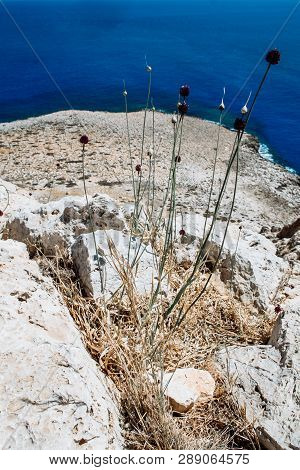 Sea Caves Near Cape Greko. Mediterranean Sea
