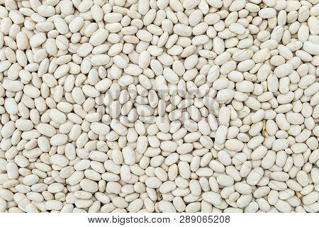 Dried White Seeds Of Beans Background. Food Groceries Product.
