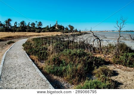 Beautiful Salt Lake In Larnaca, Cyprus. Natural Background. Landscape