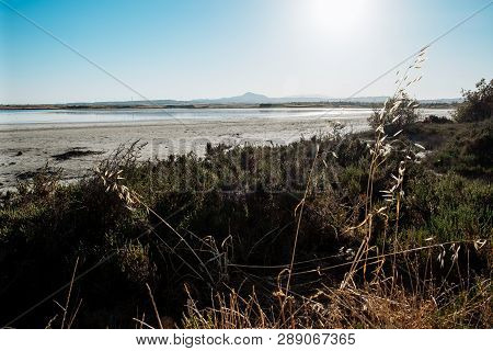 Beautiful Salt Lake In Larnaca, Cyprus. Natural Background. Landscape