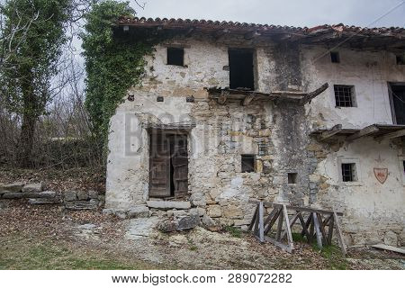 Abandoned House Overgrown With Poison Ivy In An Abandoned Village Slapnik In Region Goriška Brda, Sl