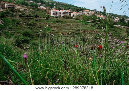 Faraya Valley And Village With Scattered Houses Shot From The Hill. Lebanon