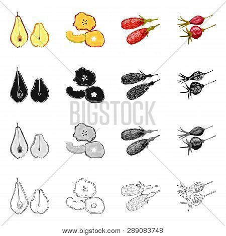 Vector Design Of Food  And Raw  Sign. Set Of Food  And Nature   Vector Icon For Stock.