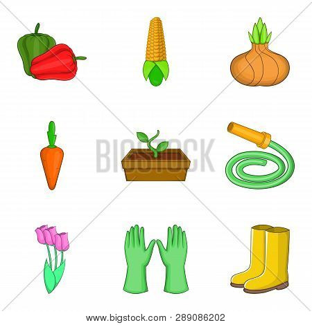 Extirpator Icons Set. Cartoon Set Of 9 Extirpator Icons For Web Isolated On White Background