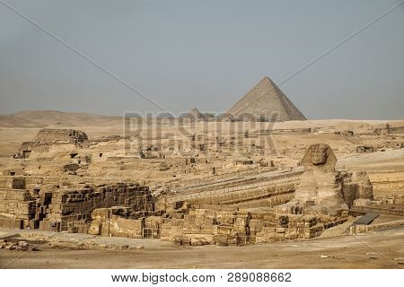 Egyptions Swinks With The Great Piramid Of Giza In The Background
