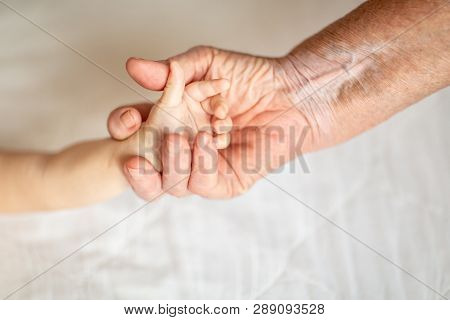 Hands Of Young Great-grandson And Old Great-grandmother. Happy Family Concept. Beautiful Conceptual 