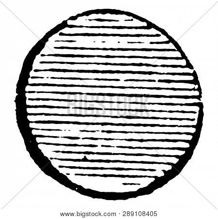 Roundlet Hurts have tincture is not otherwise named in emblazoning a coat of arms, vintage line drawing or engraving illustration.