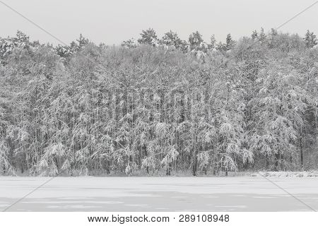 Bavarian Winter Landscape Next Next To Schwandorf, Charlottenhofer Weihergebiet