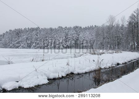 Bavarian Winter Landscape Next Next To Schwandorf, Charlottenhofer Weihergebiet
