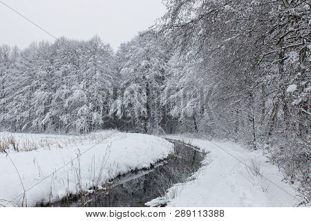 Bavarian Winter Landscape Next Next To Schwandorf, Charlottenhofer Weihergebiet