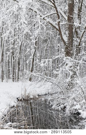 Bavarian Winter Landscape Next Next To Schwandorf, Charlottenhofer Weihergebiet