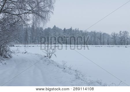 Bavarian Winter Landscape Next Next To Schwandorf, Charlottenhofer Weihergebiet