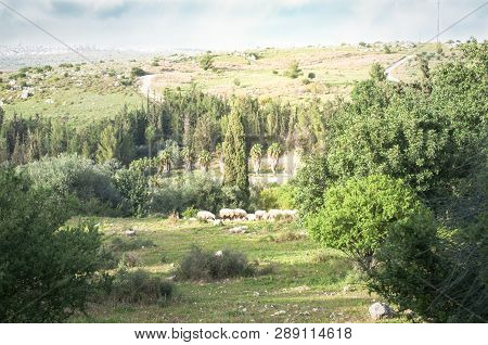Mevo Horon, Settelment In Israel Near Modiin And Latrun.