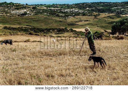 Lefka, Cyprus - April, 2018: Shepherd With His Dog, Grazing Sheep And Goats In A Field In Lefka Vill