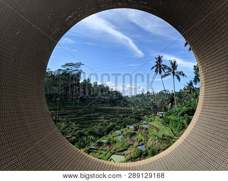 Tegalalang Rice Terraces In Ubud, Bali. Tegalalang Rice Terrace Is One Of The Famous Tourist Objects