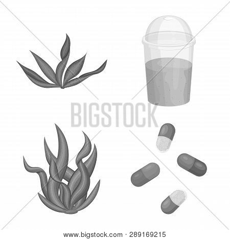Vector Illustration Of Plant And Weed Icon. Set Of Plant And Sea Vector Icon For Stock.