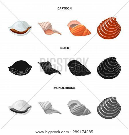 Vector Illustration Of Animal And Decoration Sign. Set Of Animal And Ocean Stock Vector Illustration