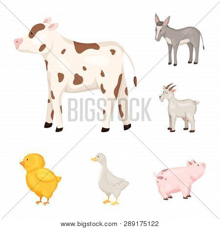 Isolated Object Of Farm And Food Icon. Collection Of Farm And Countryside Stock Symbol For Web.