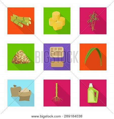 Vector Illustration Of Plant And Plantation Logo. Collection Of Plant And Agriculture  Stock Symbol 