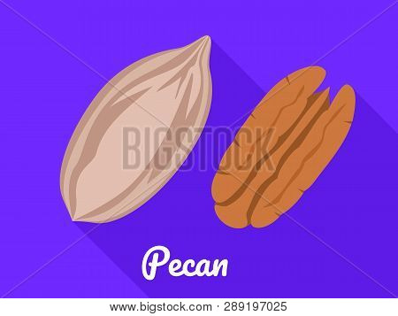 Pecan Icon. Flat Illustration Of Pecan Icon For Web Design