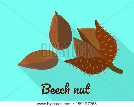 Beech Nut Icon. Flat Illustration Of Beech Nut Icon For Web Design