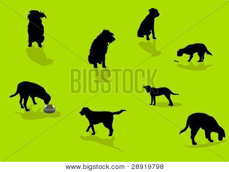 silhouettes de chiens