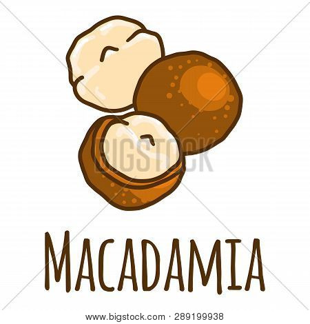 Macadamia Icon. Hand Drawn Illustration Of Macadamia Icon For Web Design