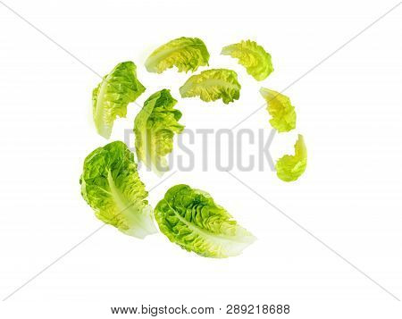 Spiral Flying Heap Of Green Baby Cos Lettuce Salad Leaves Isolated On White