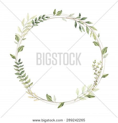 Hand Drawn Watercolor Illustration. Botanical Frame With Eucalyptus, Branches, Fern And Leaves. Gree
