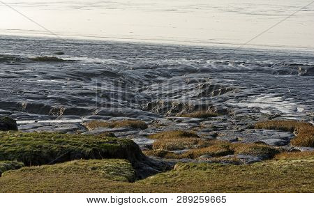 Mud Creek And Saltmarsh At Low Tide 
Woodhill Bay, Portishead, North Somerset, Uk