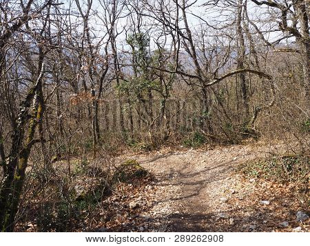Path Leading To The Top Of The Mount Rachet In The Chartreuse Mountain