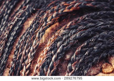 Fashion Hairstyles Braids Braids : Many Small Breeds Tail Creative Hairstyles With Thick Braids