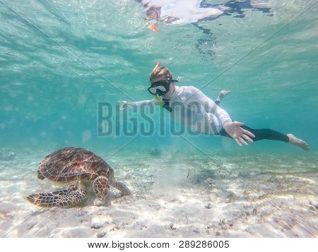 Woman On Vacations Wearing Snokeling Mask Swimming With Sea Turtle In Turquoise Blue Water Of Gili I