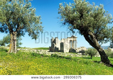 Landscape Of The Ruins Amongst Olive Trees In Dougga, Tunisia