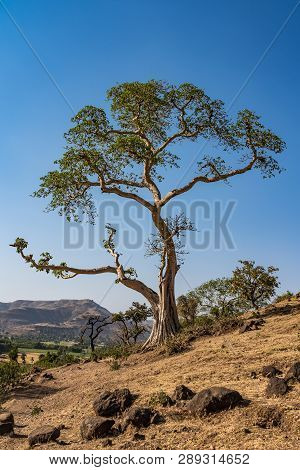 Landscape View Near The Blue Nile Falls, Tis-isat In Ethiopia, Africa