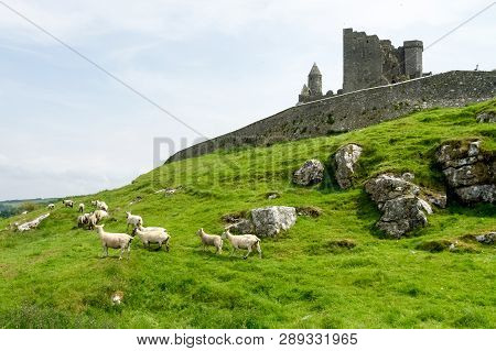 The Rock Of Cashel, County Tipperary In Ireland.